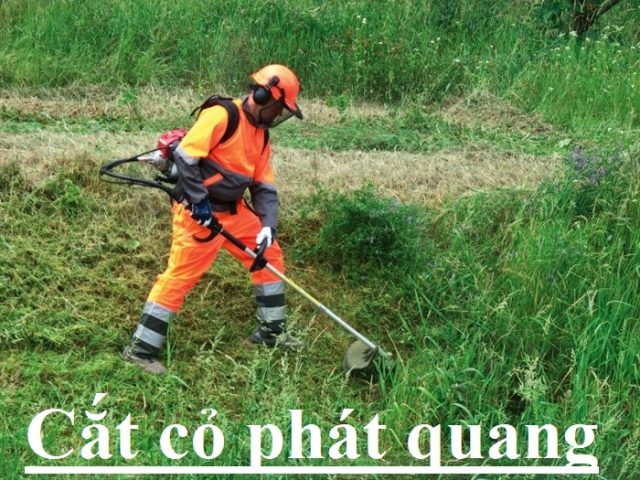 Dịch vụ cắt cỏ phát quang chuyên nghiệp