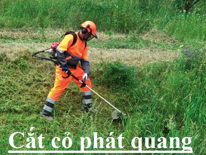 Dịch vụ cắt cỏ phát quang chuyên nghiệp